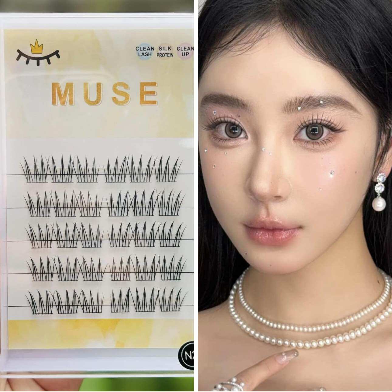 Mi rời muse n25