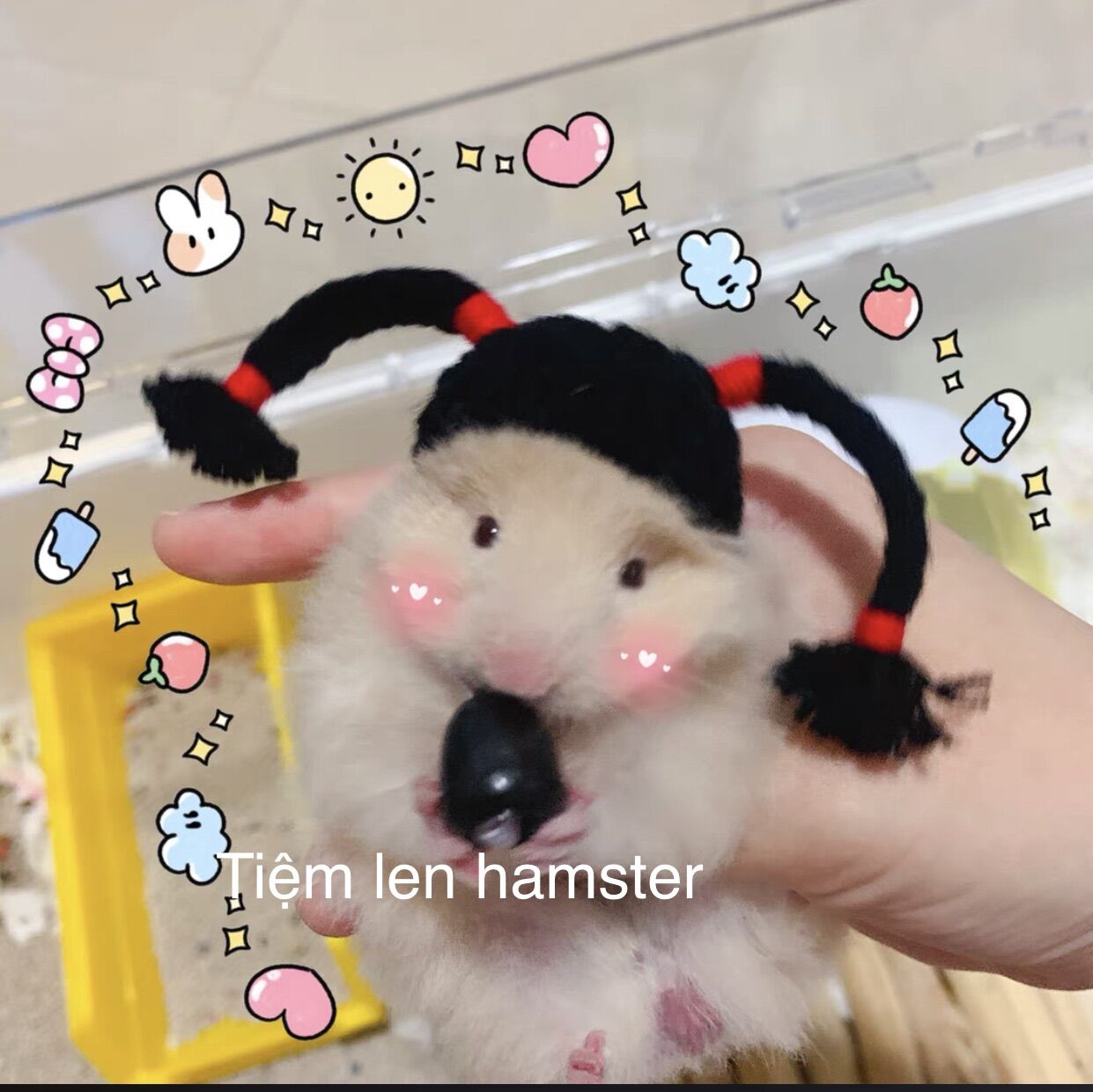 Nón mũ cho hamster tóc giả 2
