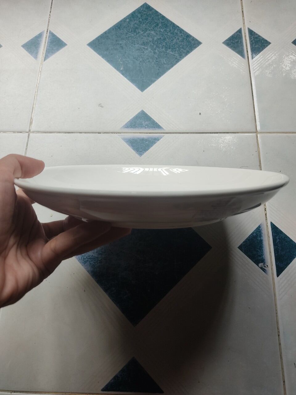 Dĩa gốm sứ tráng men size vừa