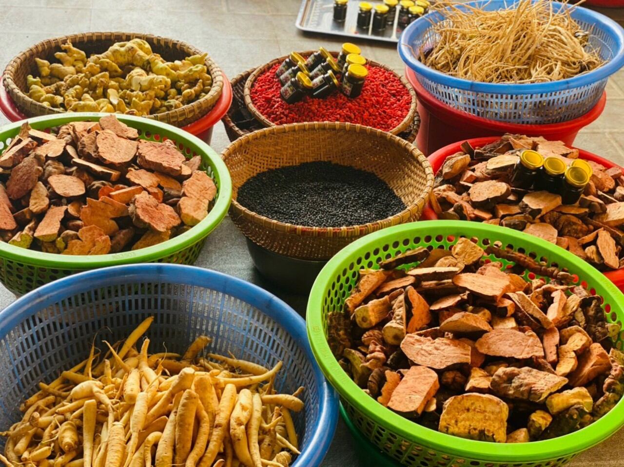 Tóc đen óng ả và khỏe mạnh với hà thủ ô...tây bắc