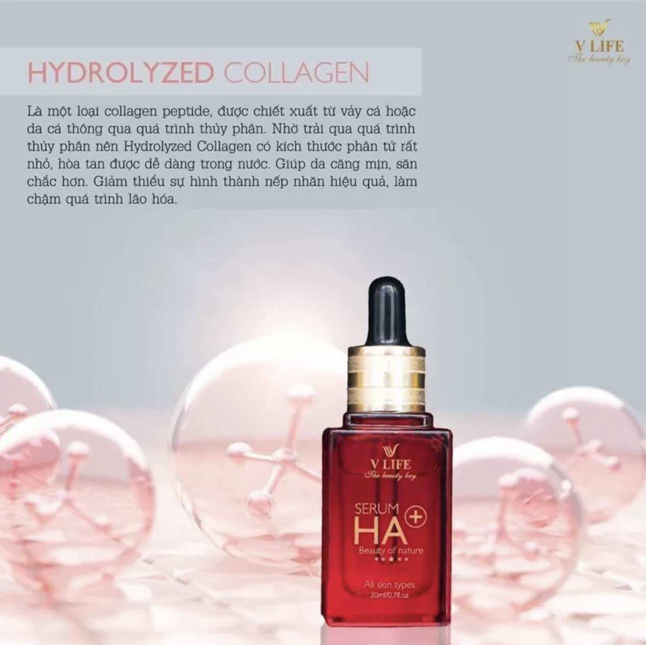 Serum dưỡng da Vlife Ha Plus