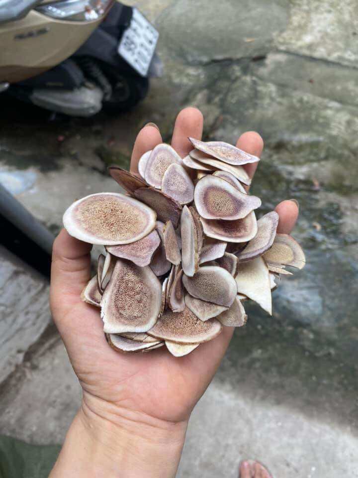 Nhung hươu khô 50g- 100g