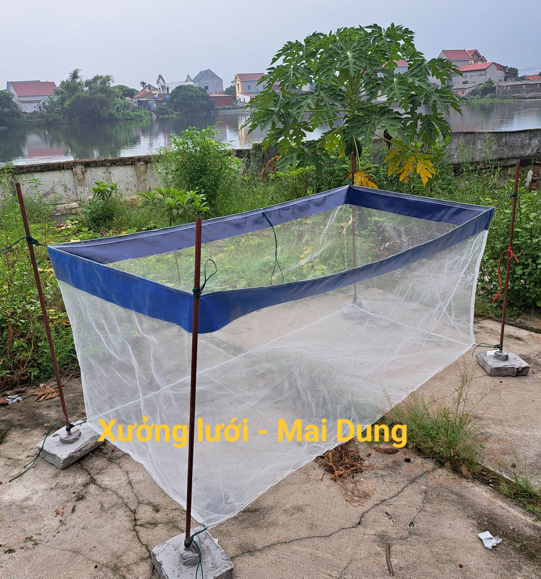 Tráng lồng vèo lưới nuôi ốc ếch cá lươn cua chạch