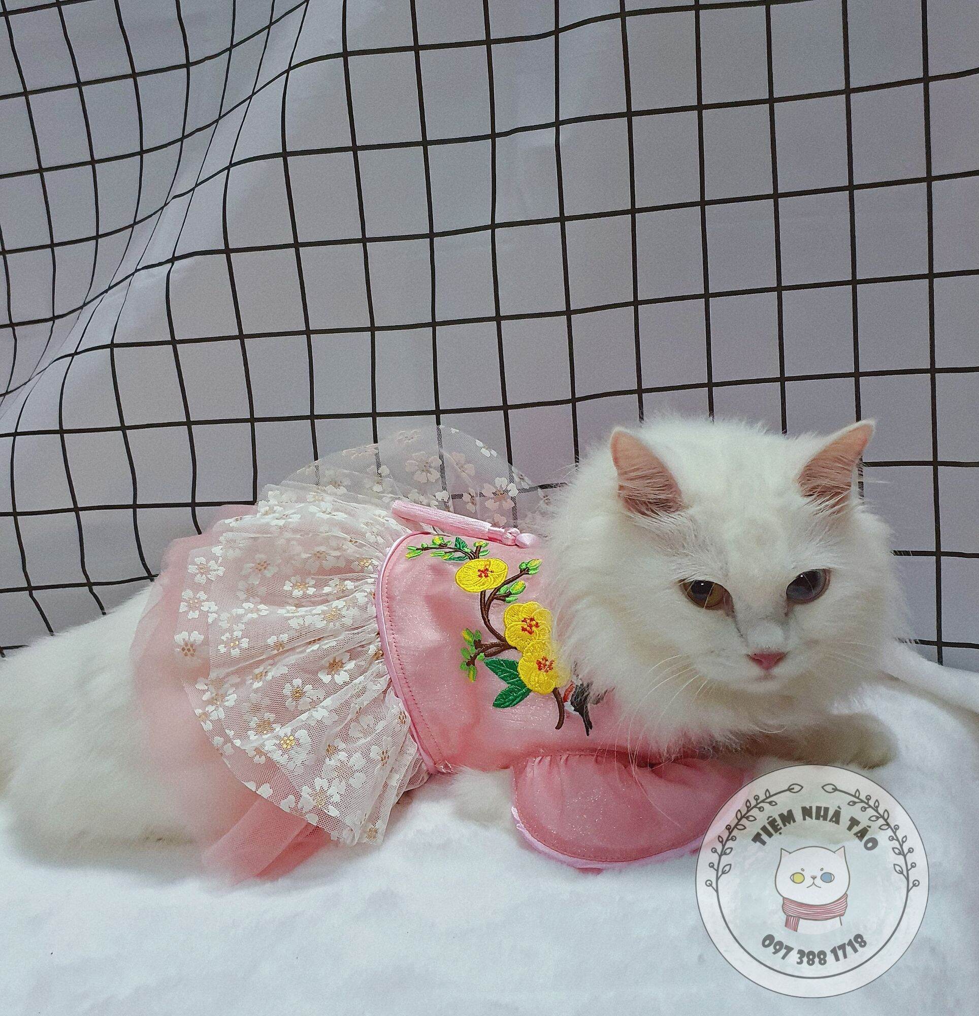 Đầm Tết hoa mai cho thú cưng