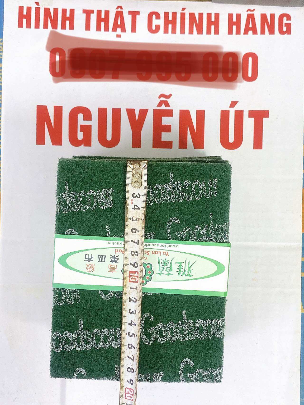 Cước chùi nồi xanh lốc 10 miếng