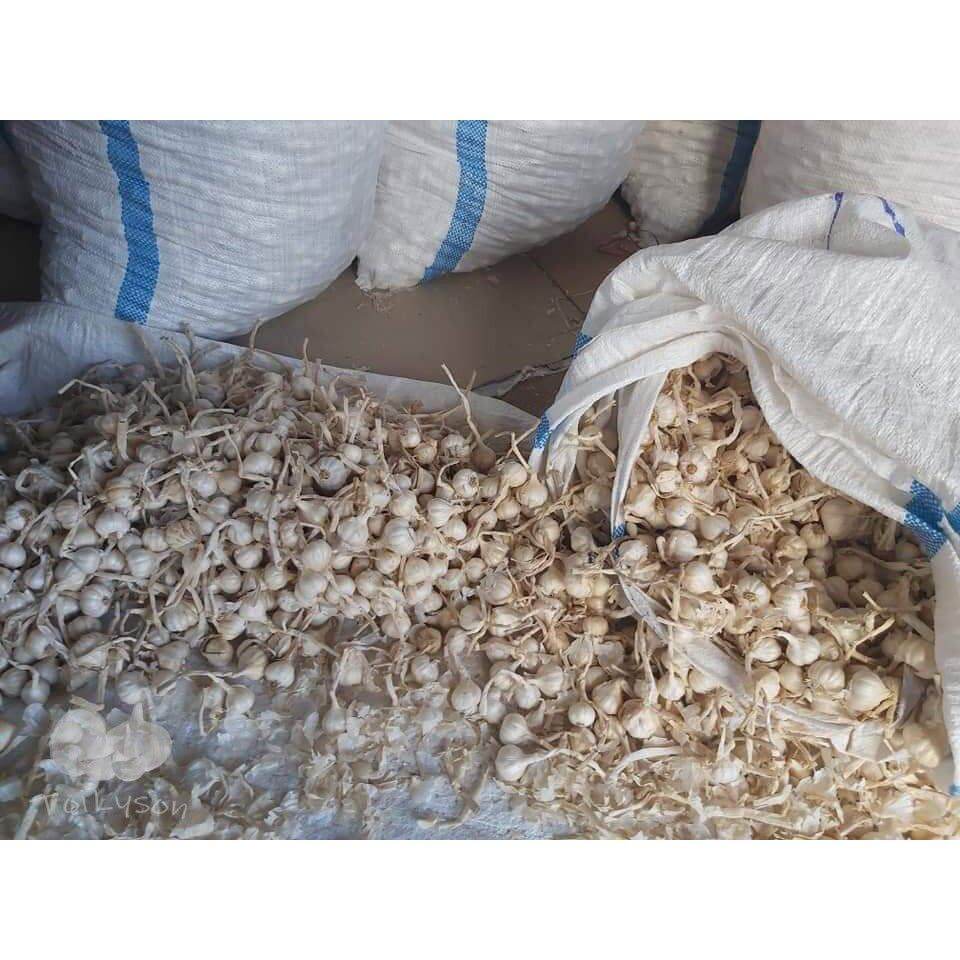 Tỏi Lý Sơn túi 500g