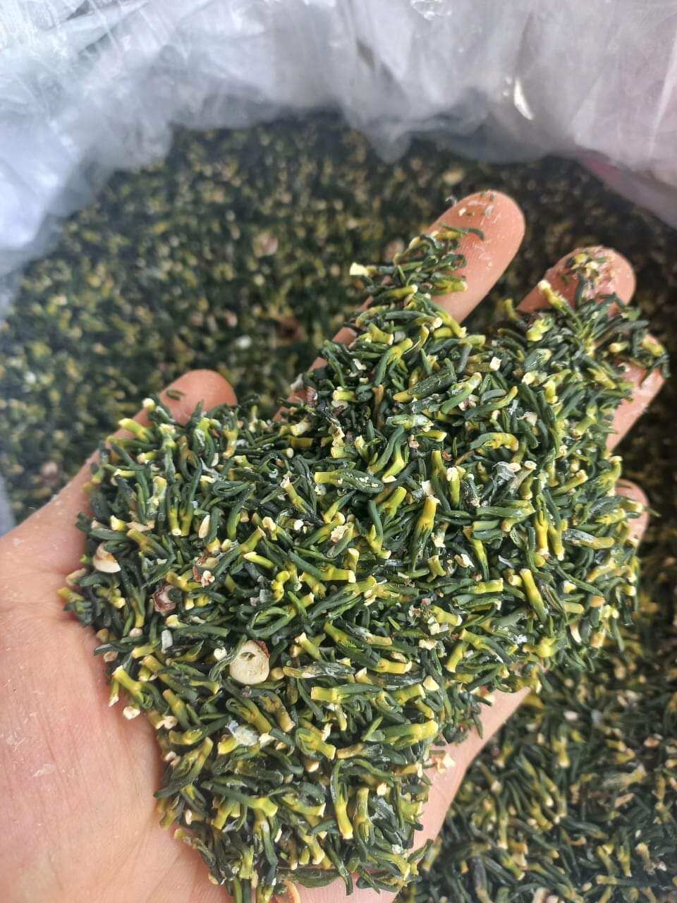 tâm sen khô