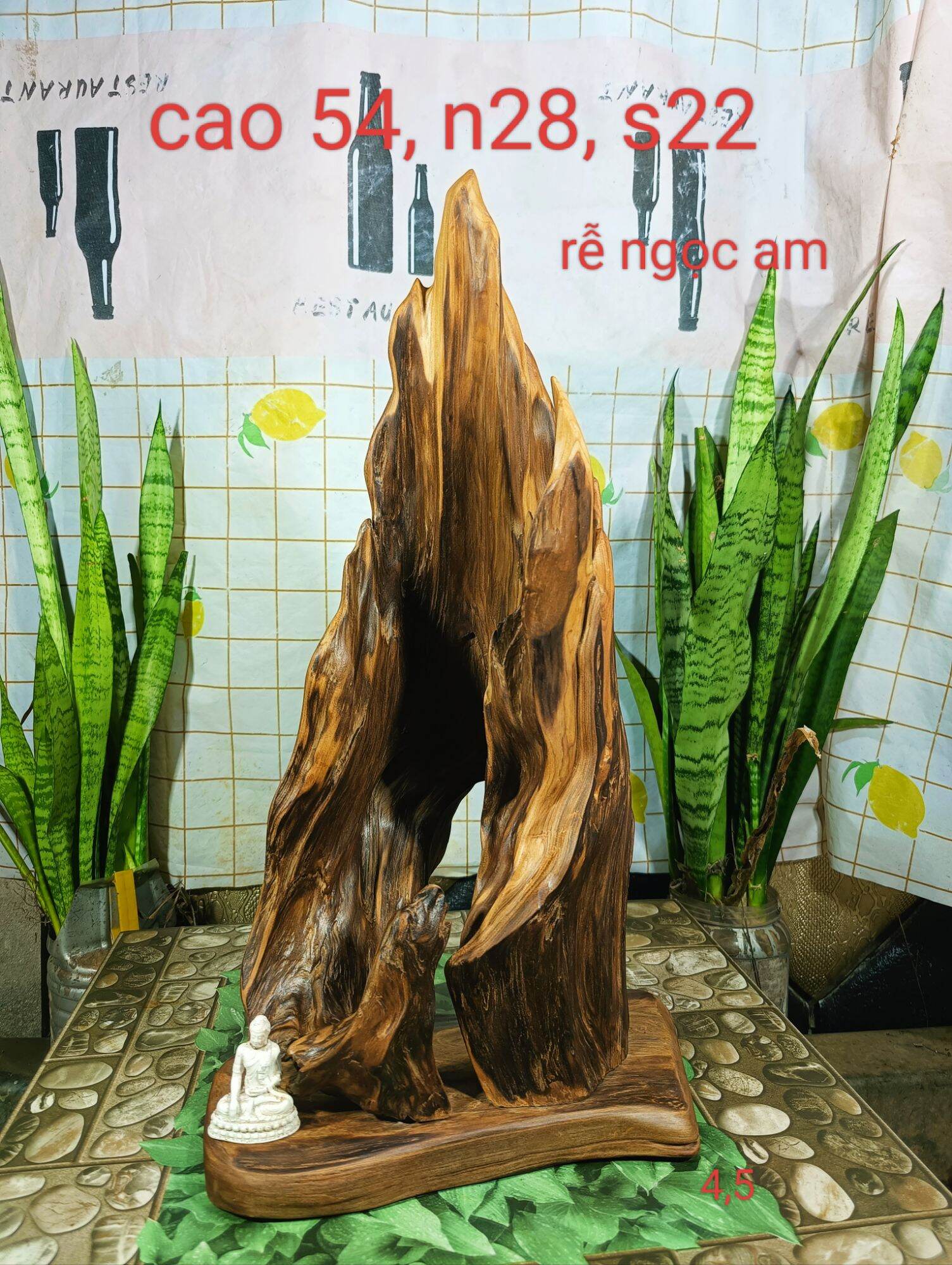 Lũa gỗ thơm ngọc am đỏ hà giang