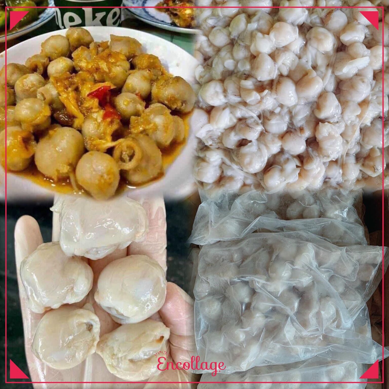 1kg Răng Mực đại dương