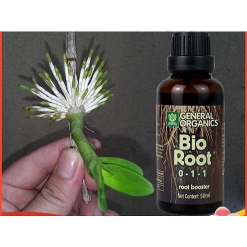 RA RỄ CỰC MẠNH BIO ROOT - CHAI 50ml