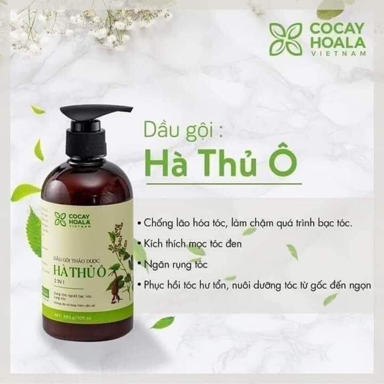 Dầu gội Hà Thủ Ô (300ml)
