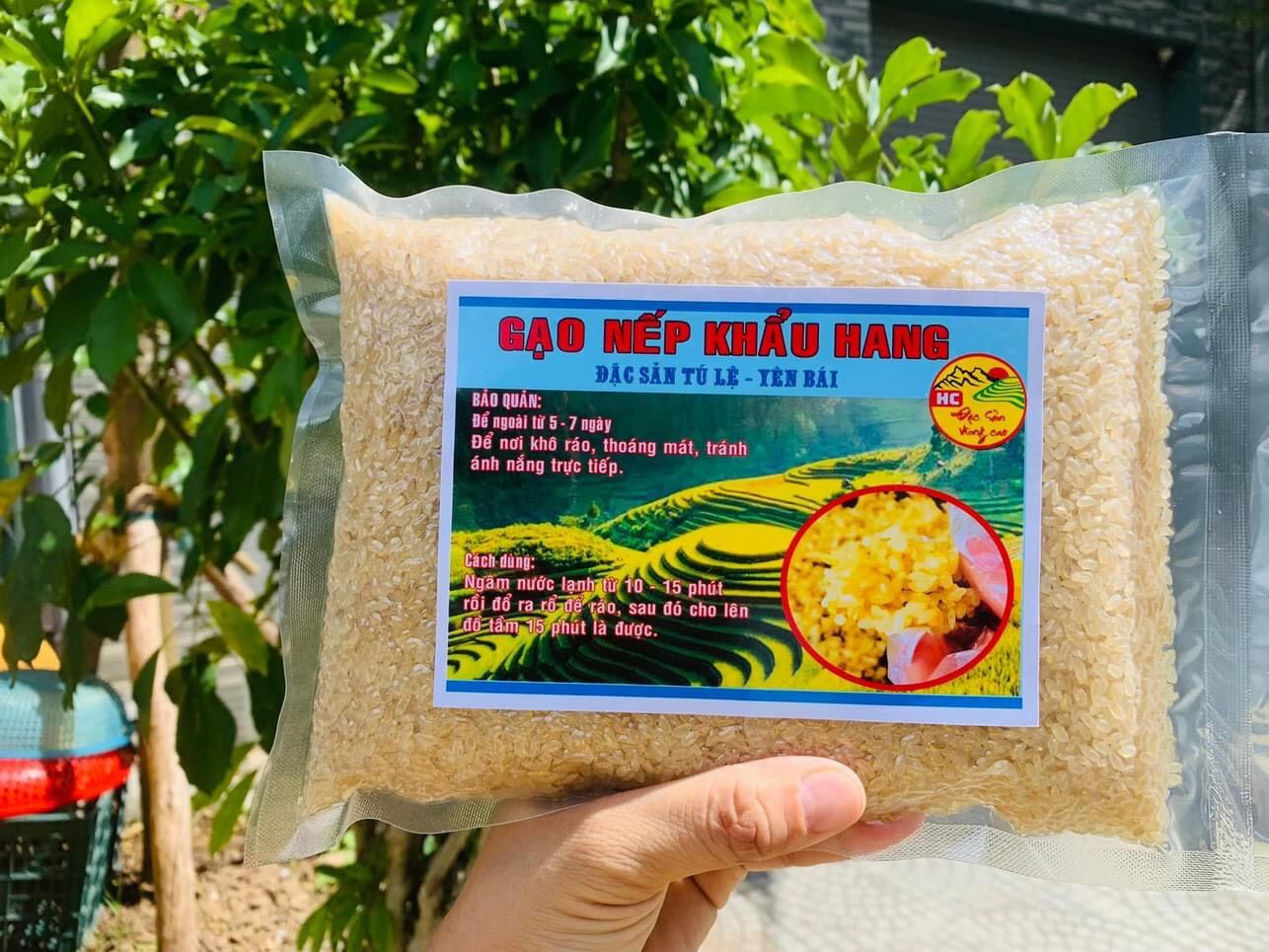 1kg khẩu hang,gạo nếp non Tây Bắc,nếp khẩu hang Tú Lệ,gạo nếp khẩu hang đặc sản Tây Bắc,gạo nếp non khẩu hang loại ngon