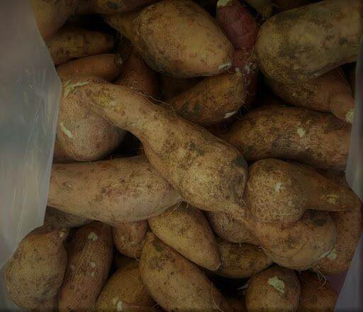 Khoai Lang Sữa 2kg