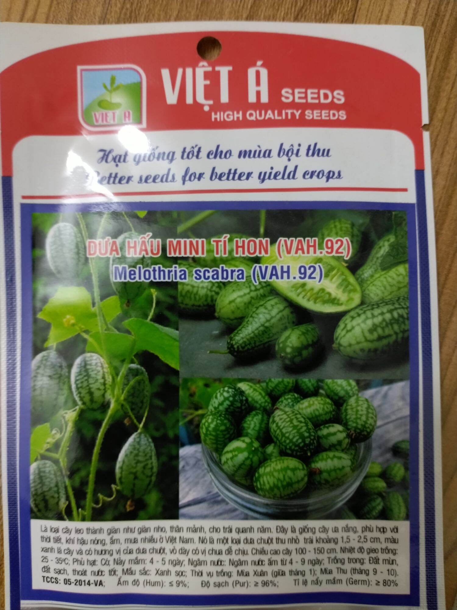 Hạt giống dưa hấu mini tí hon