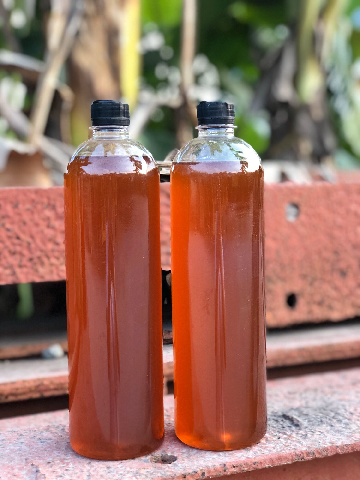 Mật Ong Bảo Lộc Chai Nhựa 1 Lít