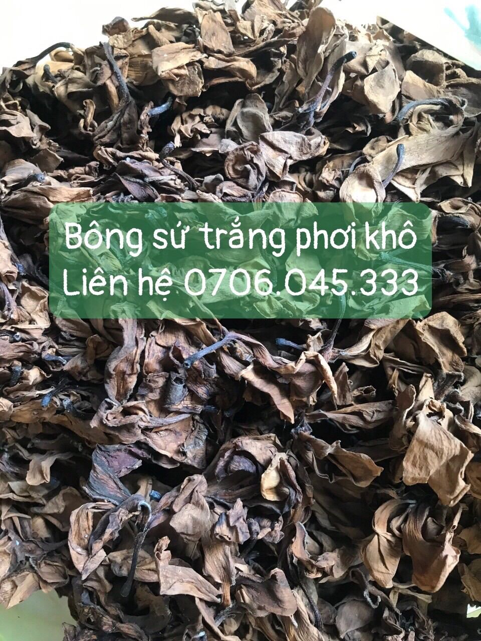Bông sứ trắng phơi khô 500 gam hàng khô sạch đẹp