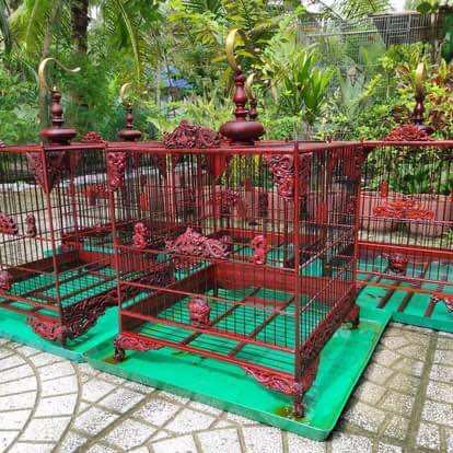 Khung tự ráp chào mào