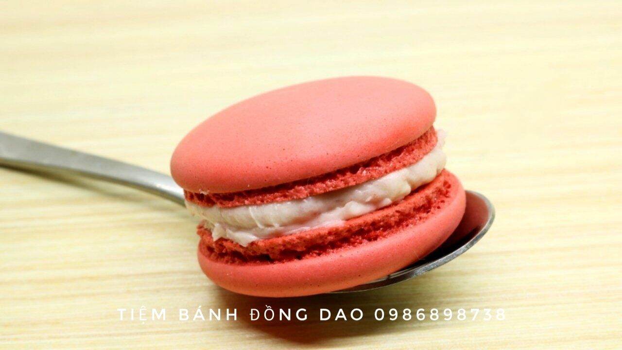 Set 10 cặp vỏ bánh macaron không nhân size 4-5 cm