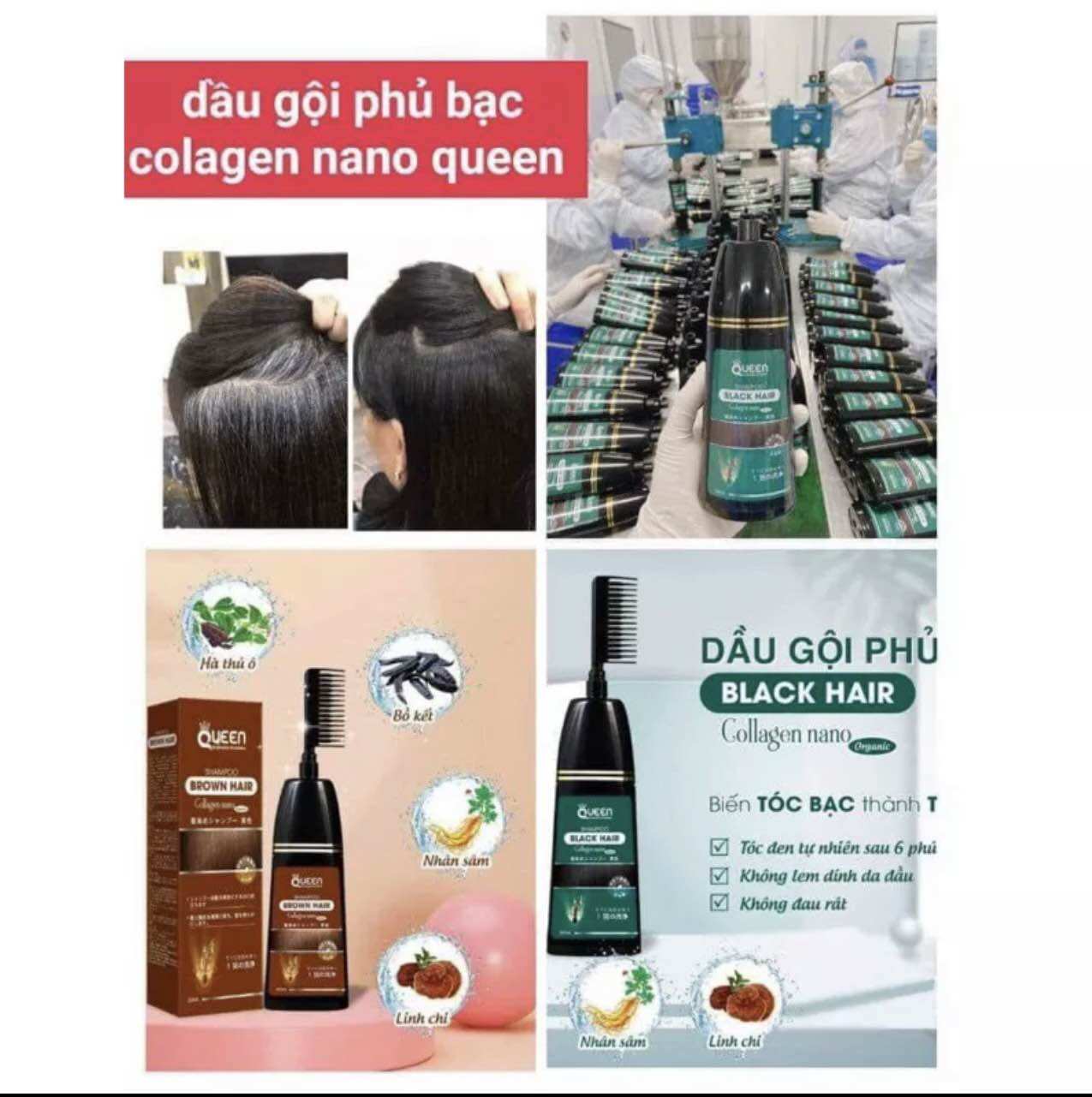 Dầu gội nhuộm tóc queen phủ bạc thảo dược phủ đen nâu tóc tự nhiên tại nhà