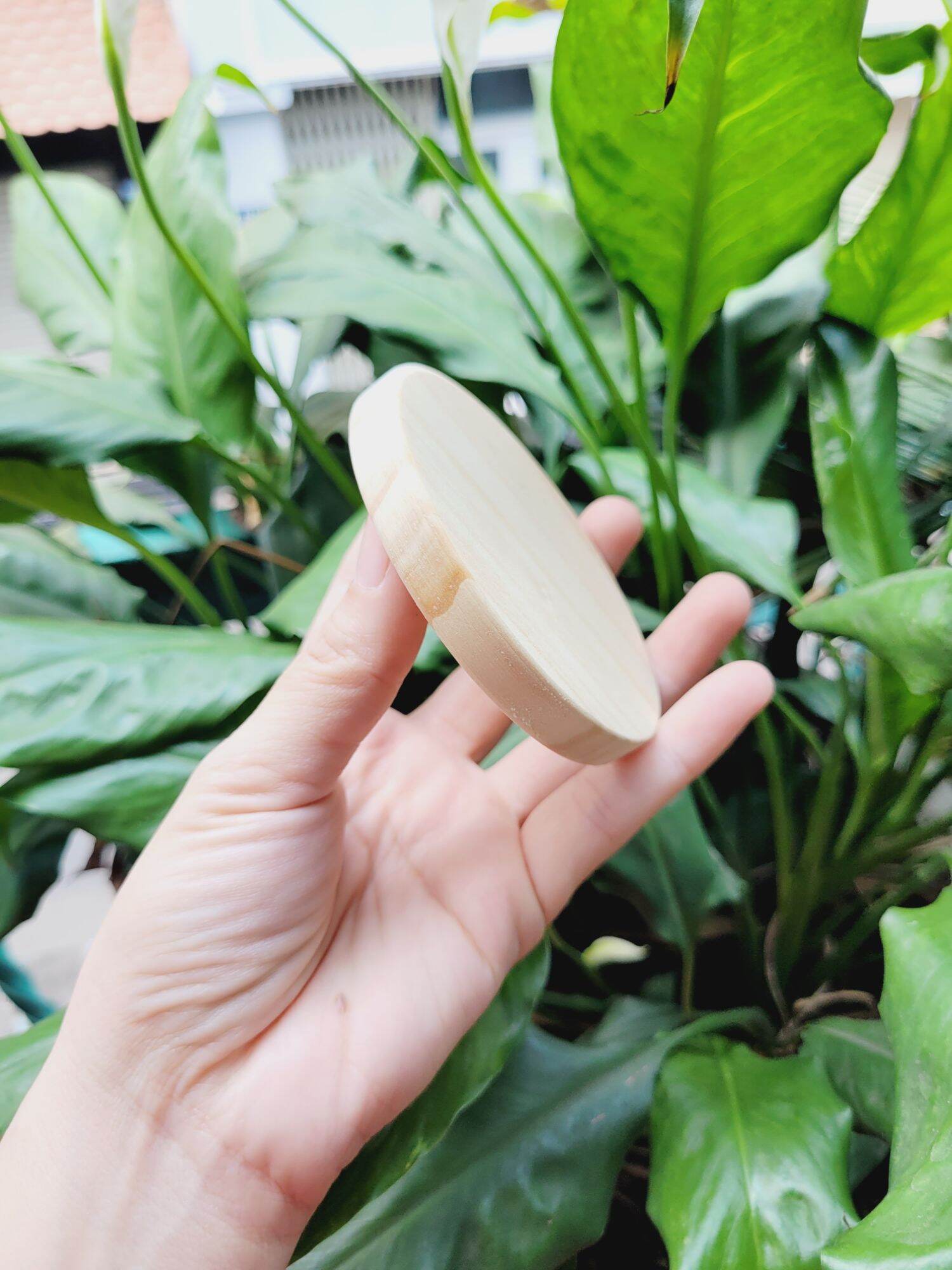Thớt Gỗ Mini và loại dày Cho dollhouse