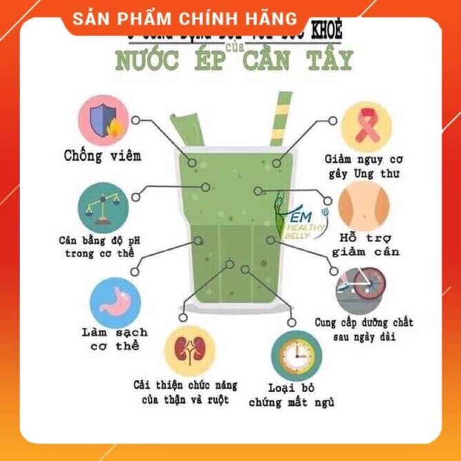 200 g Bột Cần Tây Sấy Lạnh Nguyên Chất (Detox Thanh Lọc Cơ Thể, Đẹp Da, Giữ Dáng)