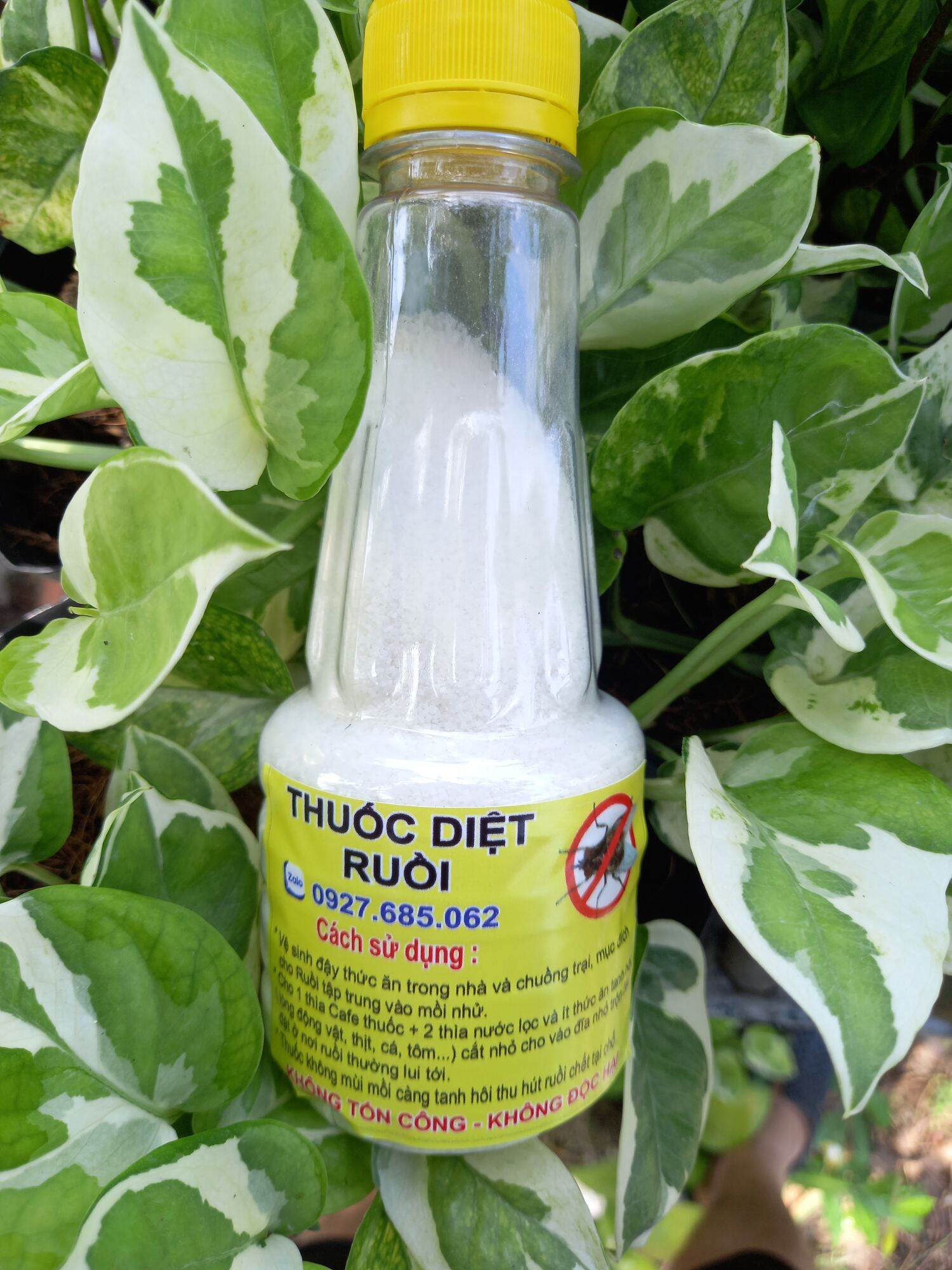 Thuốc diệt ruồi hiệu quả cao an toàn