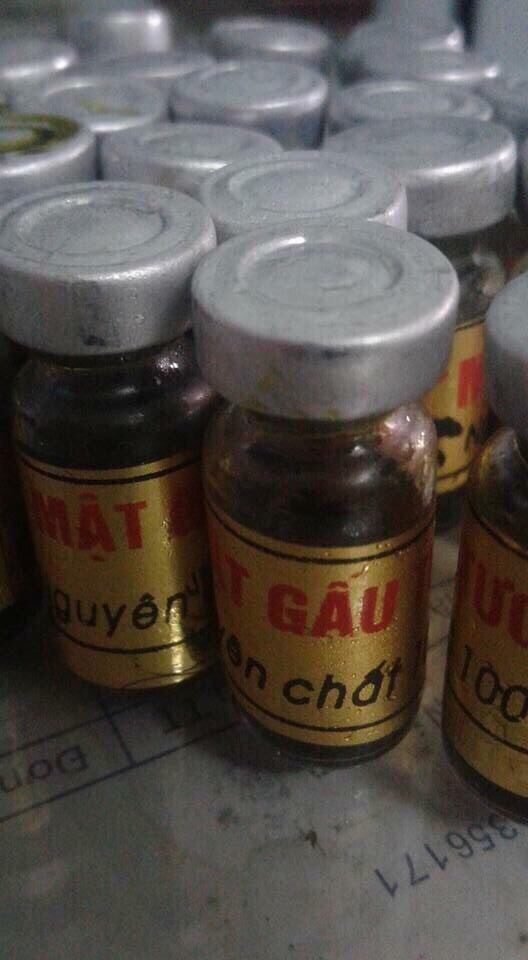 Mat gau tuoi