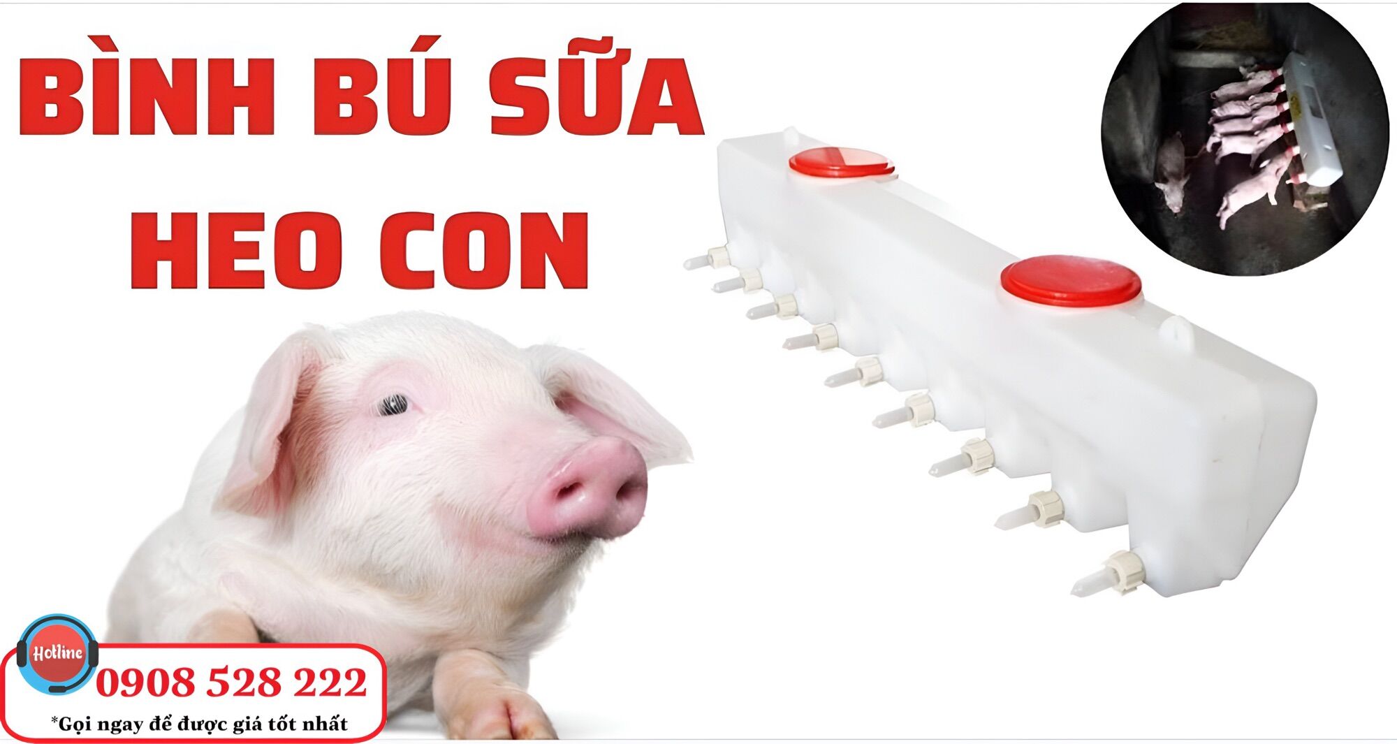 Bình bú sữa cho động vật nhỏ. Bình bú sữa dành cho heo, bê, cừu con