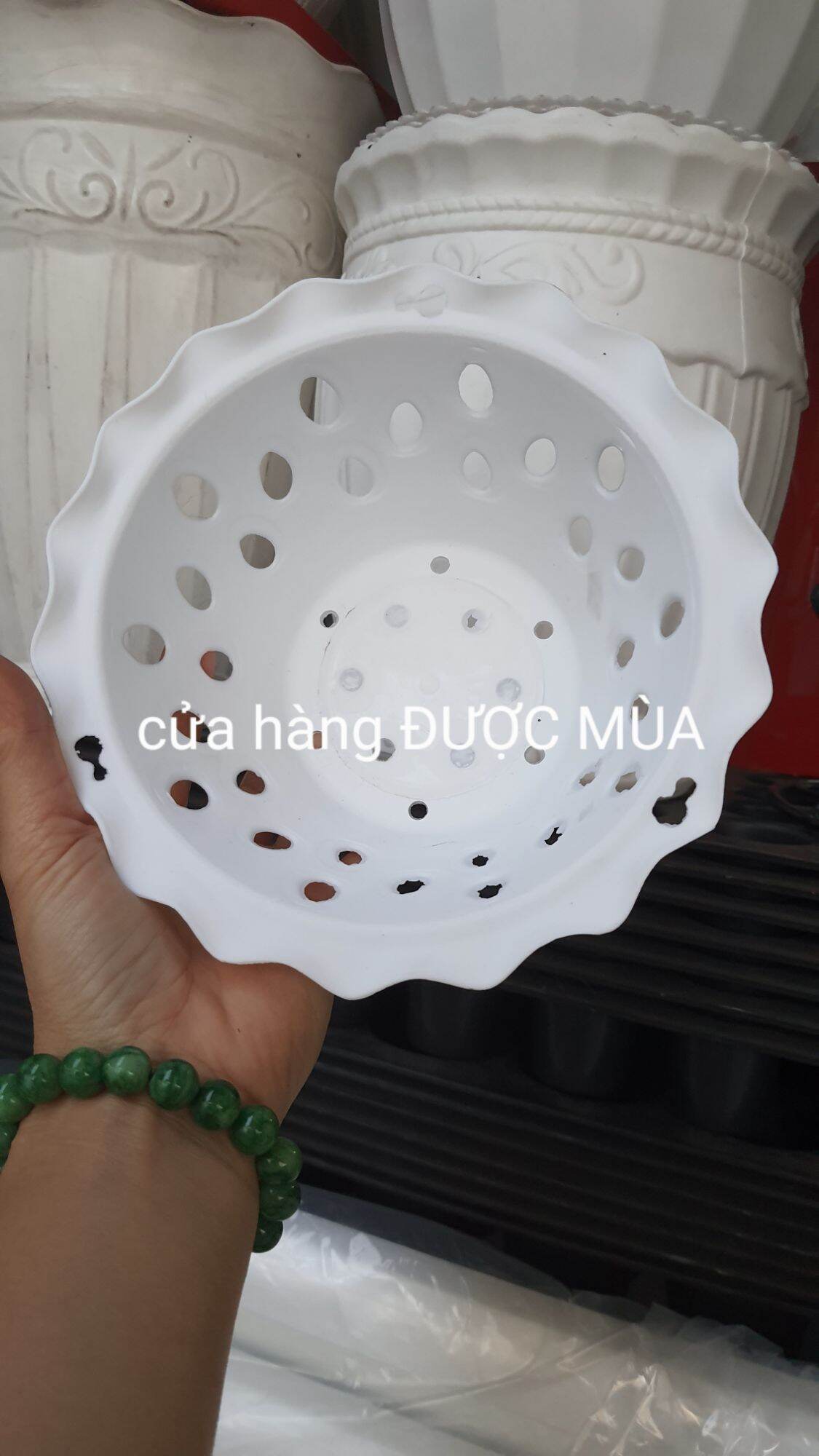combo 10 cái chậu nhựa trồng lan phi 16 siêu đẹp