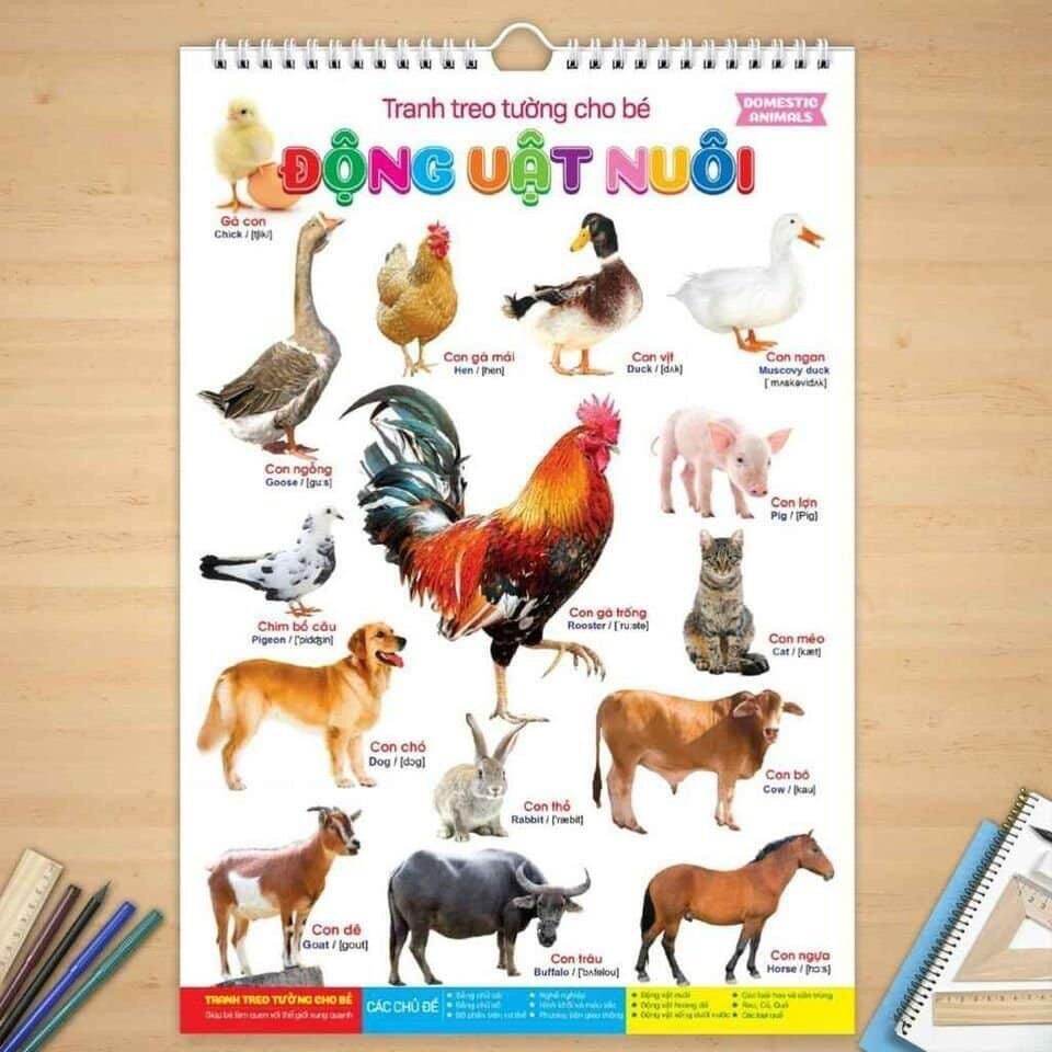 Tranh treo tường 14 chủ đề cho bé