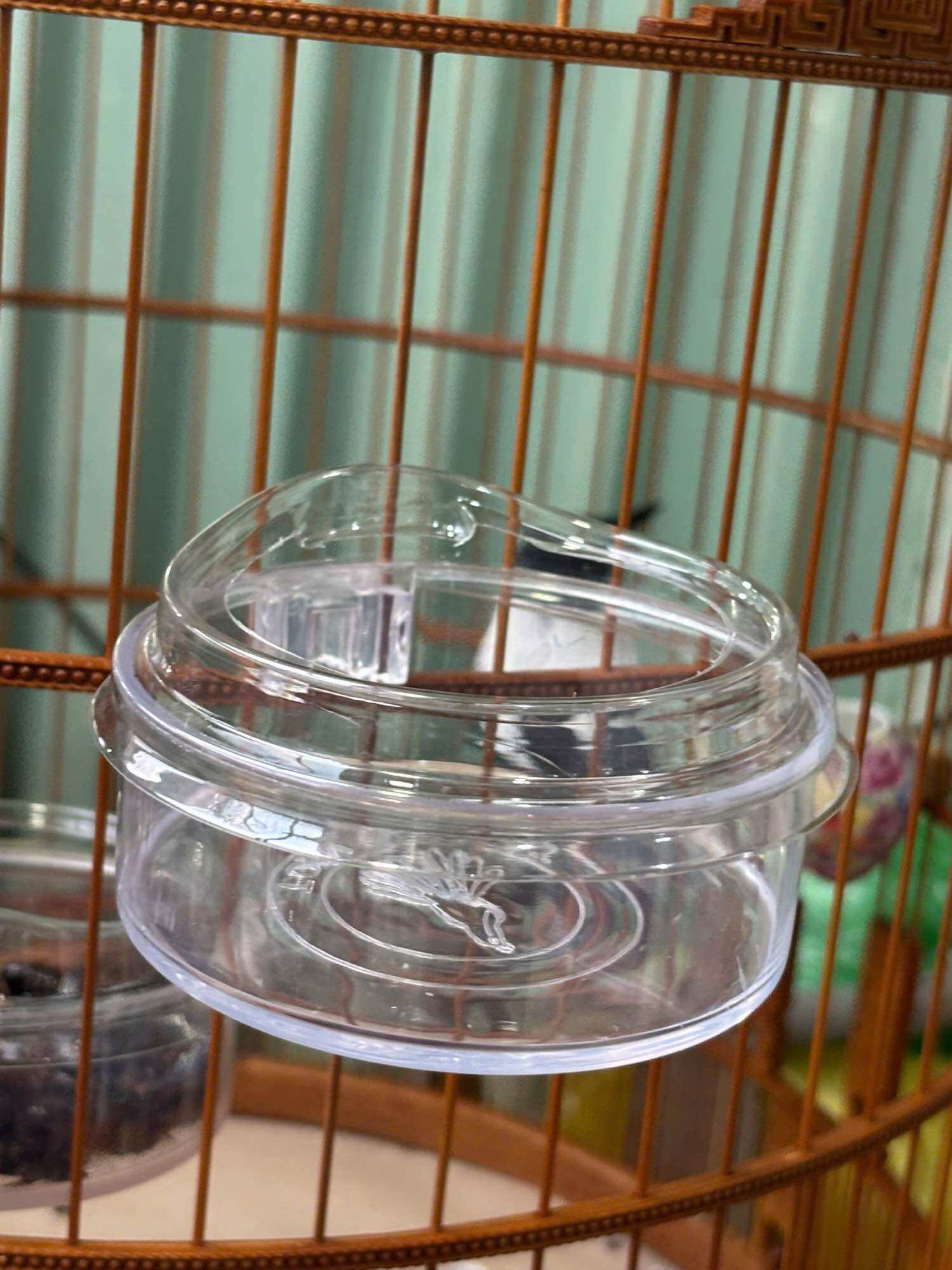 Combo of 5 Containers for Earthworms, Rake…9Cm Diameter