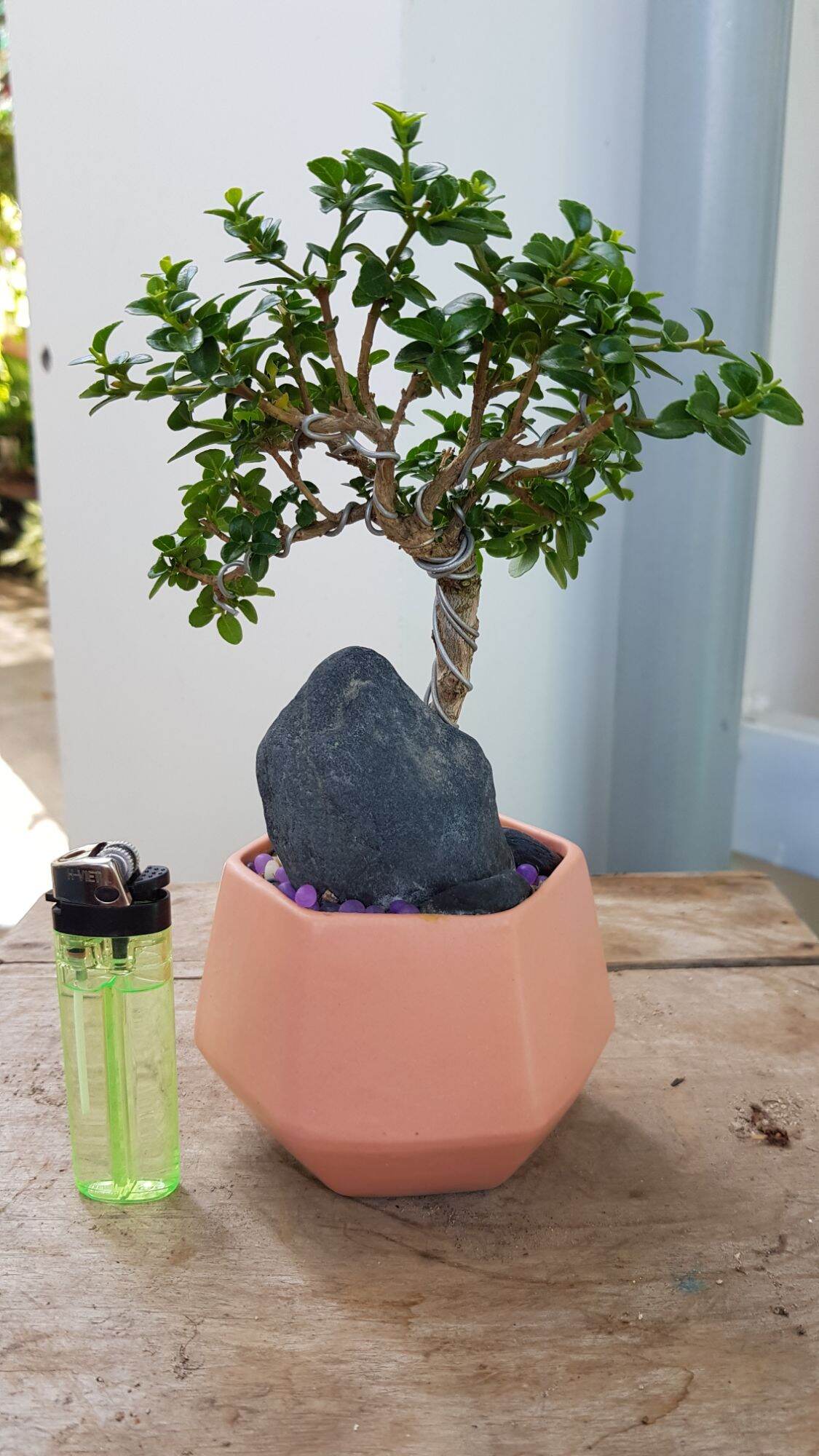 Sam Hương Siêu Mini tàn mịn