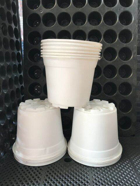 Combo 20 chậu nhựa mềm đường kính 15cm cao 12cm.