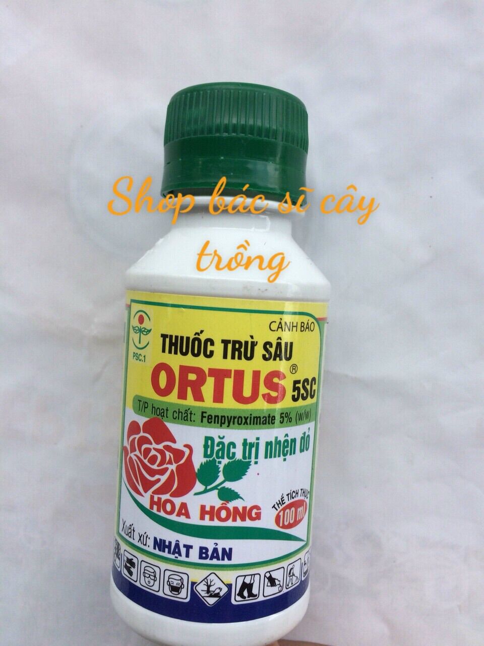 Diệt trừ nhện đỏ hại cây hoa hoa hồng, lan, cây mai, cây ớt và cây ăn trái