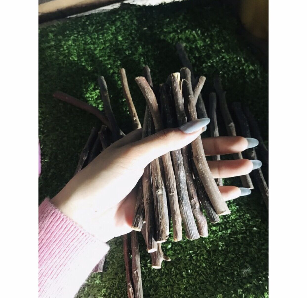 [MÓN THÚ NHỎ CỰC KHOÁI]50gr Cành táo mài răng hamster, sóc, thỏ, bọ, chinchilla, gerbil...