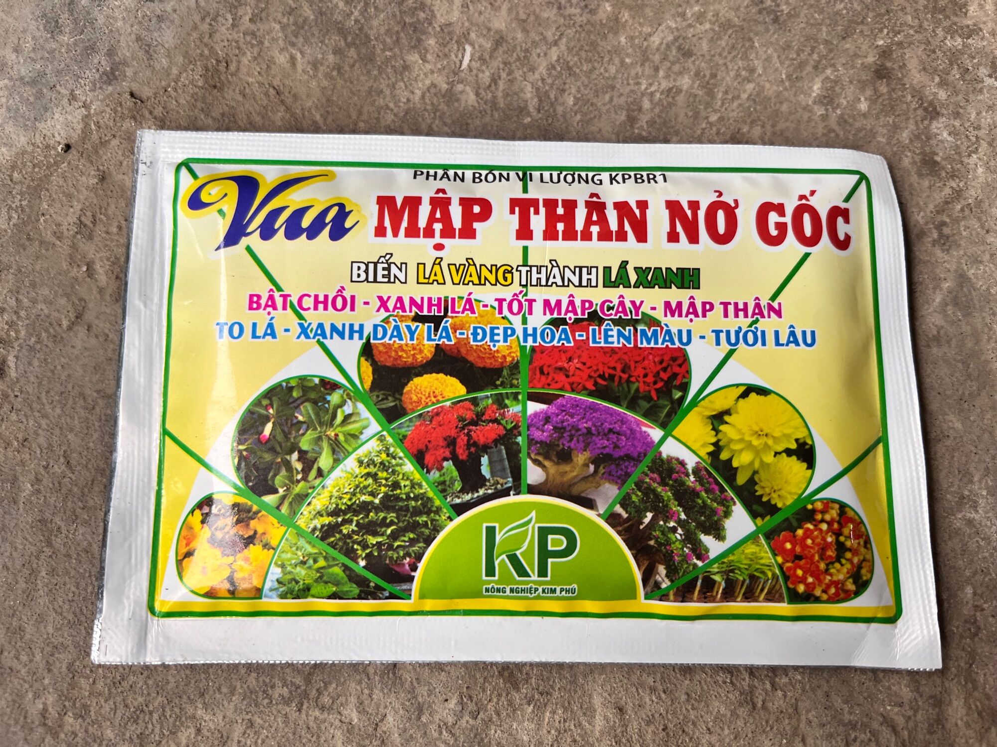 Mập đọt xanh cây cực mạnh