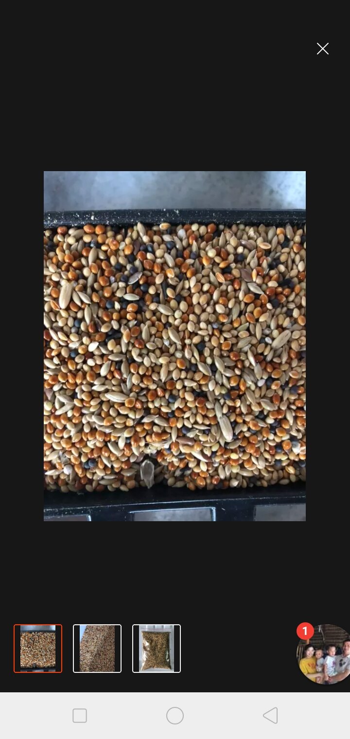 1kg ngũ cốc dành cho chim Yến hót