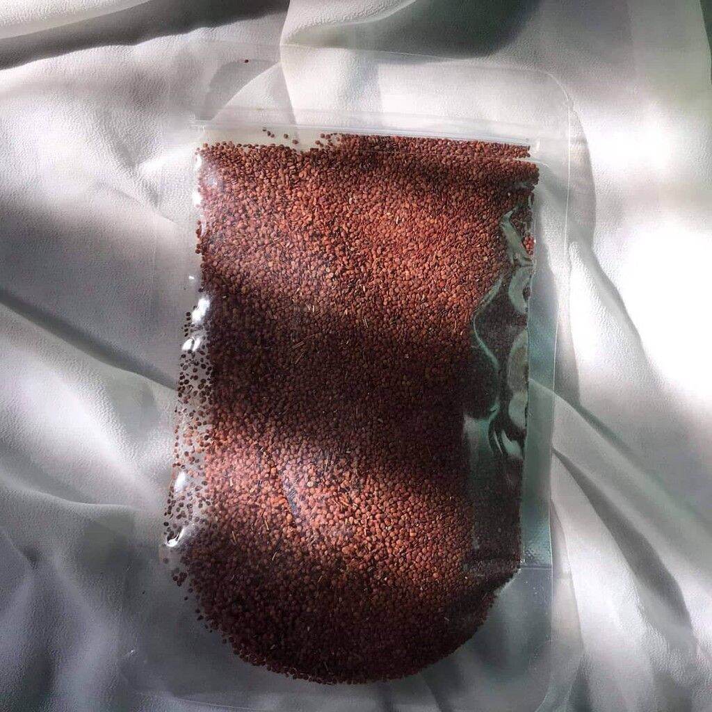 Hạt ngũ hoa (hạt đình lịch) 100g