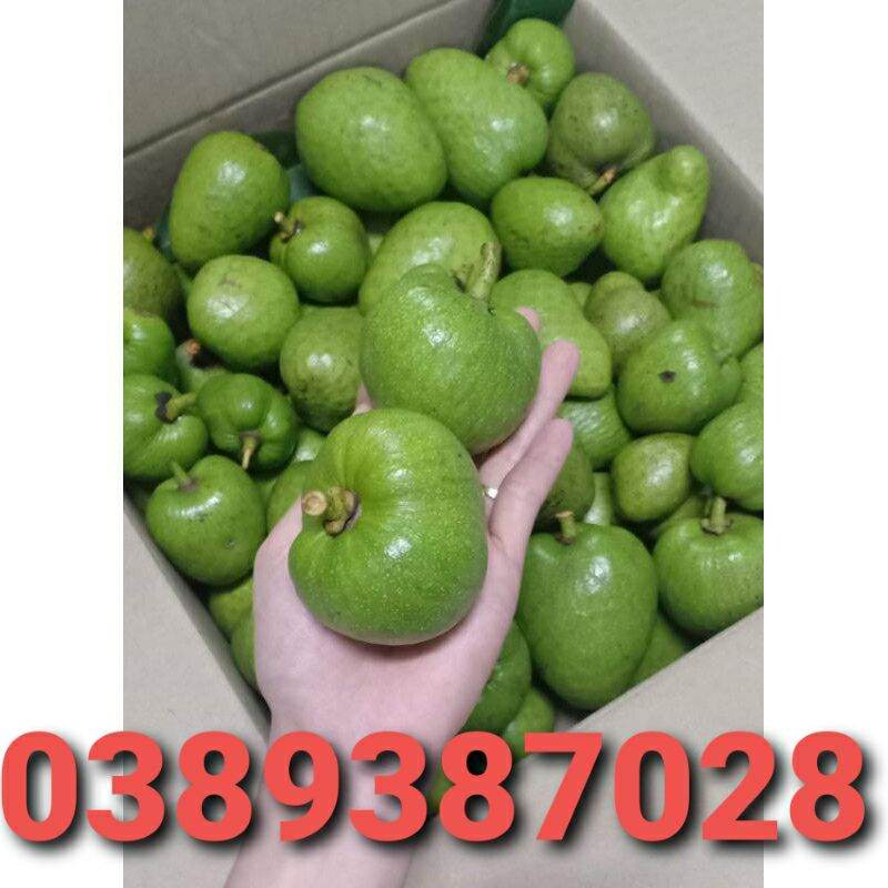 Trái bình bát non, 1kg