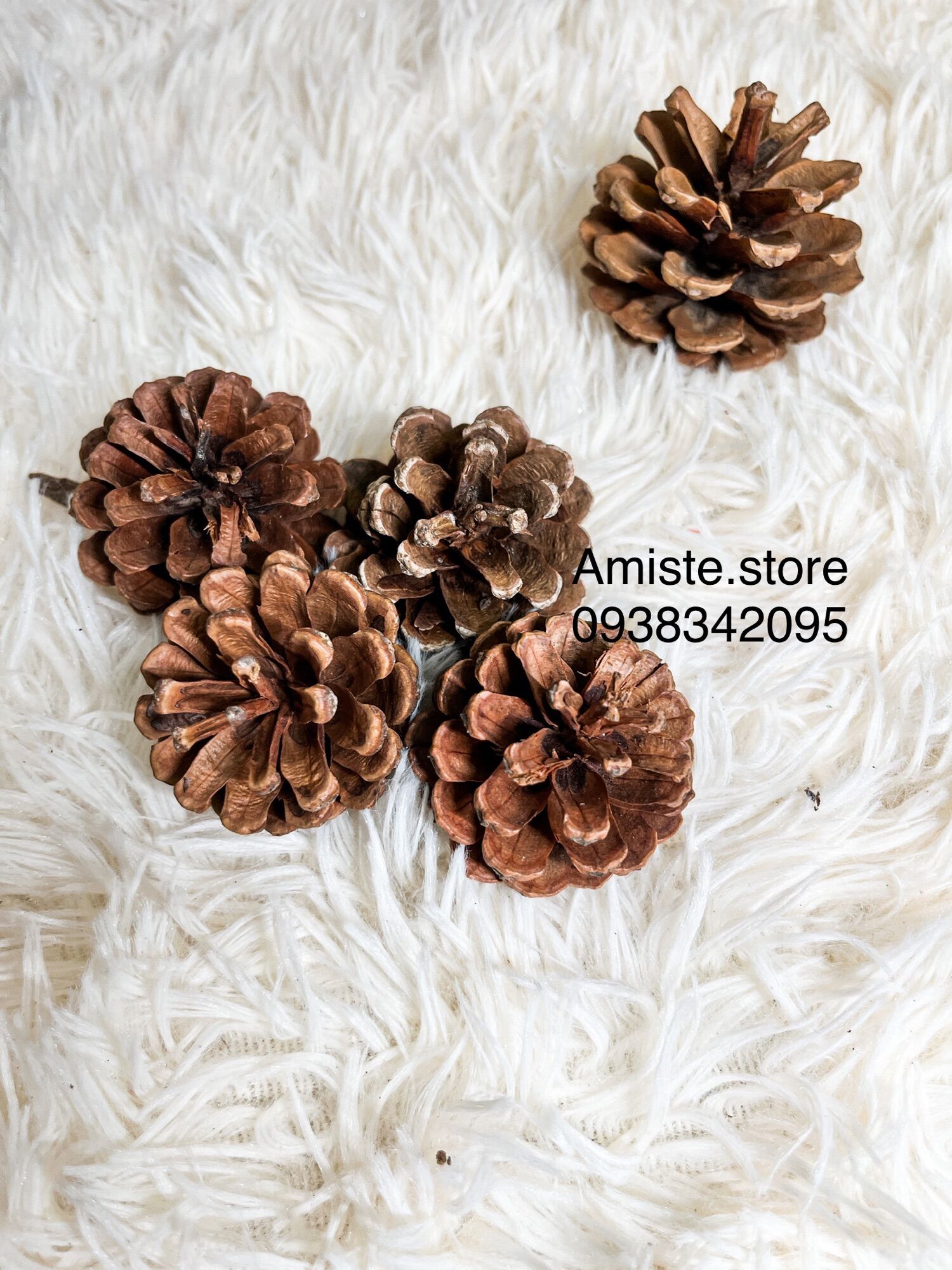 Combo 05 trái thông trang trí giáng sinh, trang trí cây thông Noel