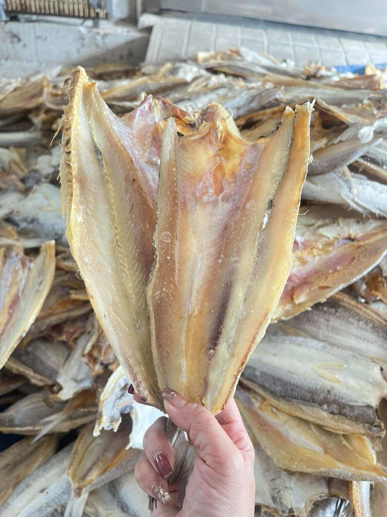 Khô cá mối mặn,mối ướp
