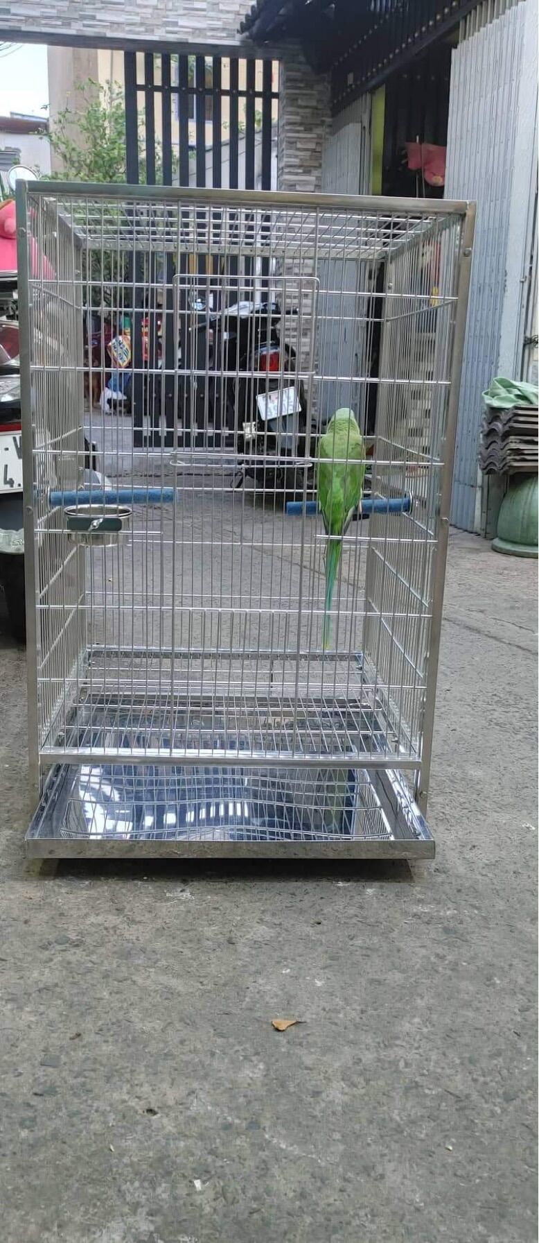 Cầu mài móng giảm sắc nhọn móng cho chim vẹt .