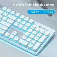Microstep | Bộ Bàn Phím và Chuột Không Dây Thẩm Mỹ Cao cho Phụ Nữ Văn Phòng, Có Cảm Giác Cơ, Sạc Điện