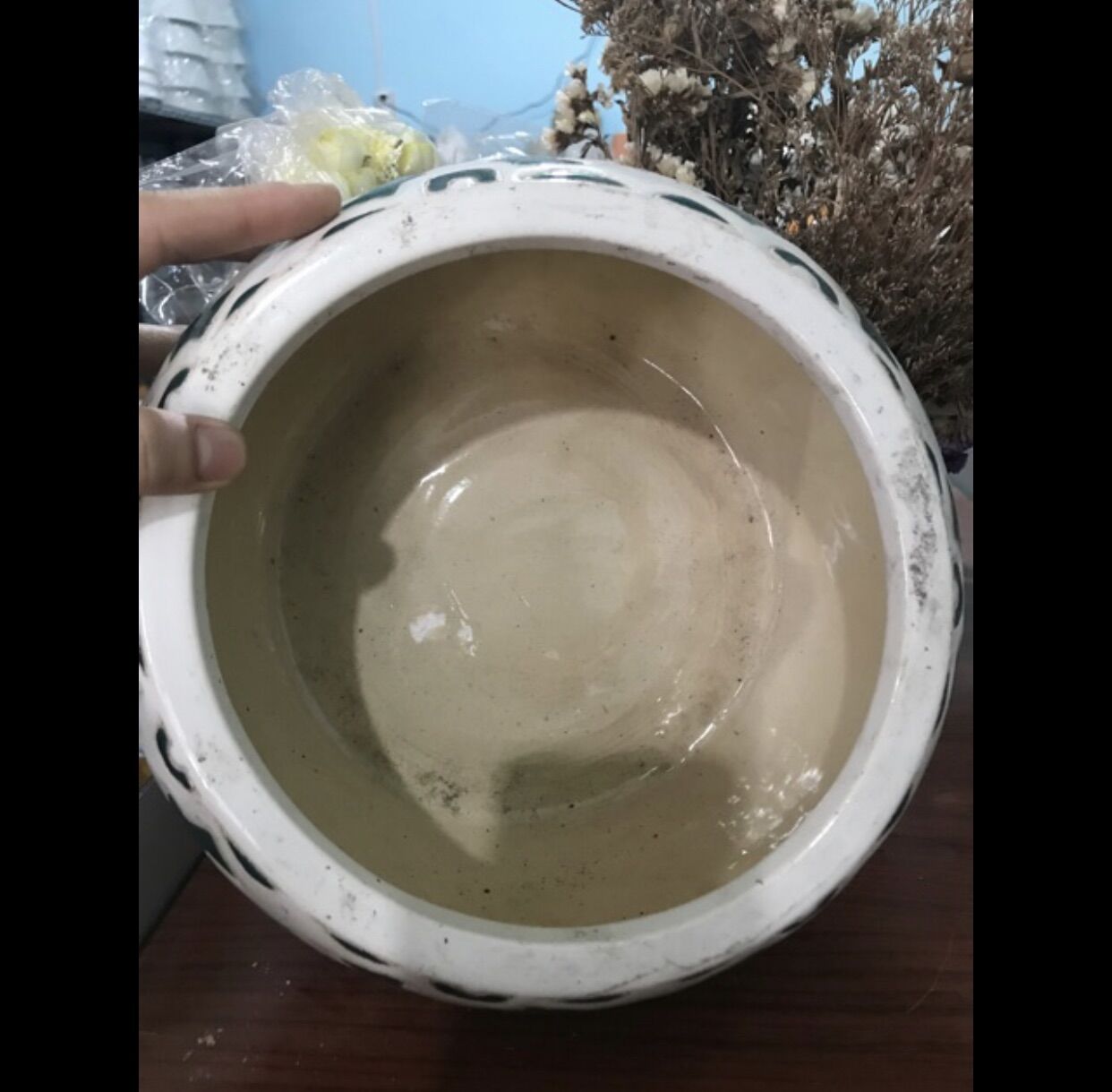 Chậu sứ trồng sen, nuôi cá