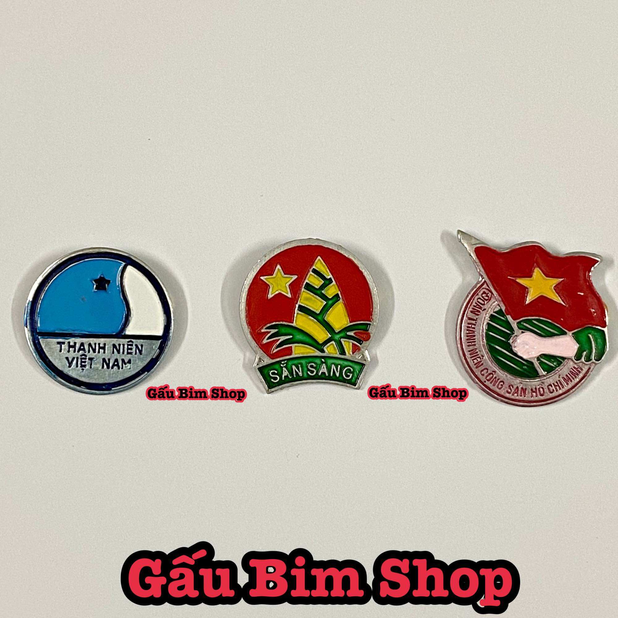 Huy hiệu đoàn - đội - thanh niên cài áo