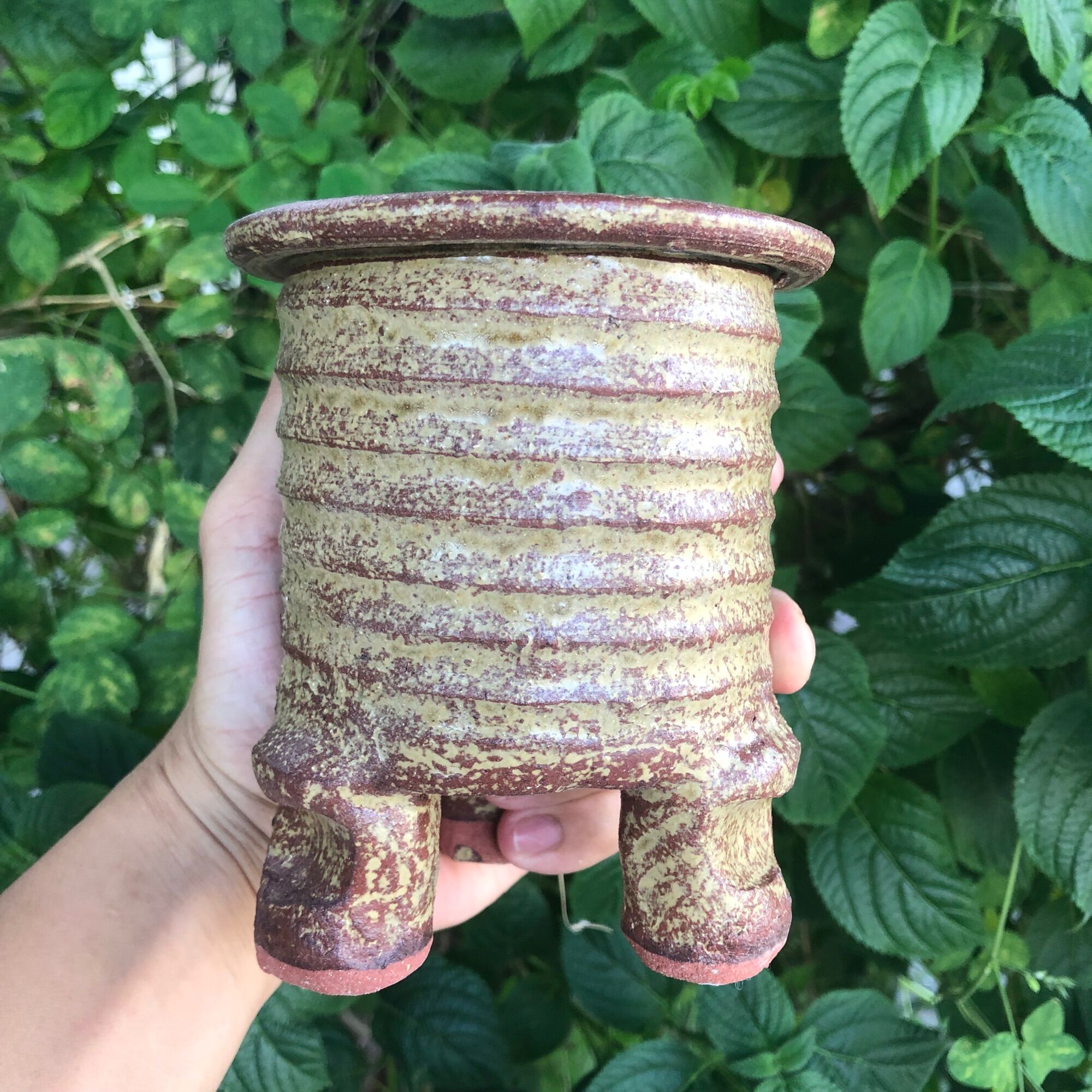 Chậu trồng sen đá xuất Hàn ( giao mẫu ngẫu nhiên )
