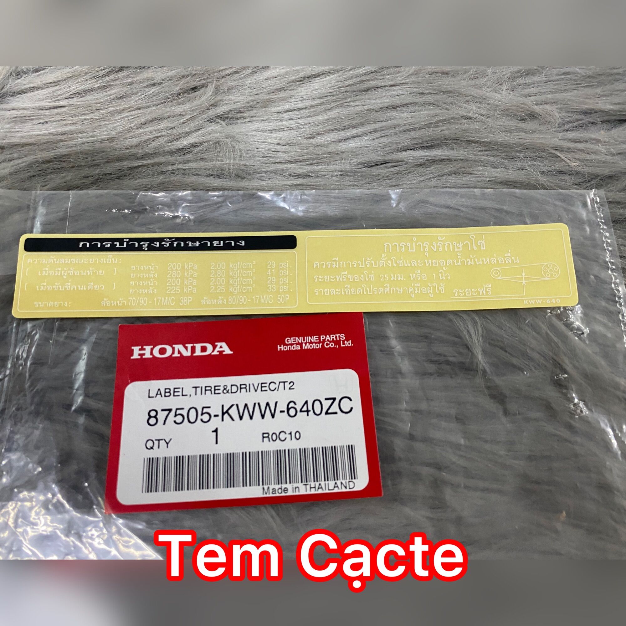 Tem Cacte Thái