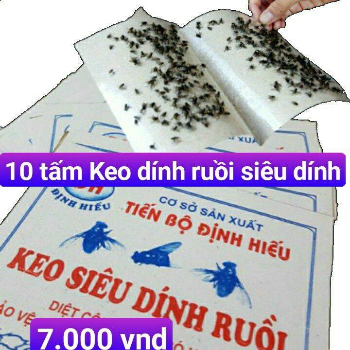 10 tấm keo dính ruồi