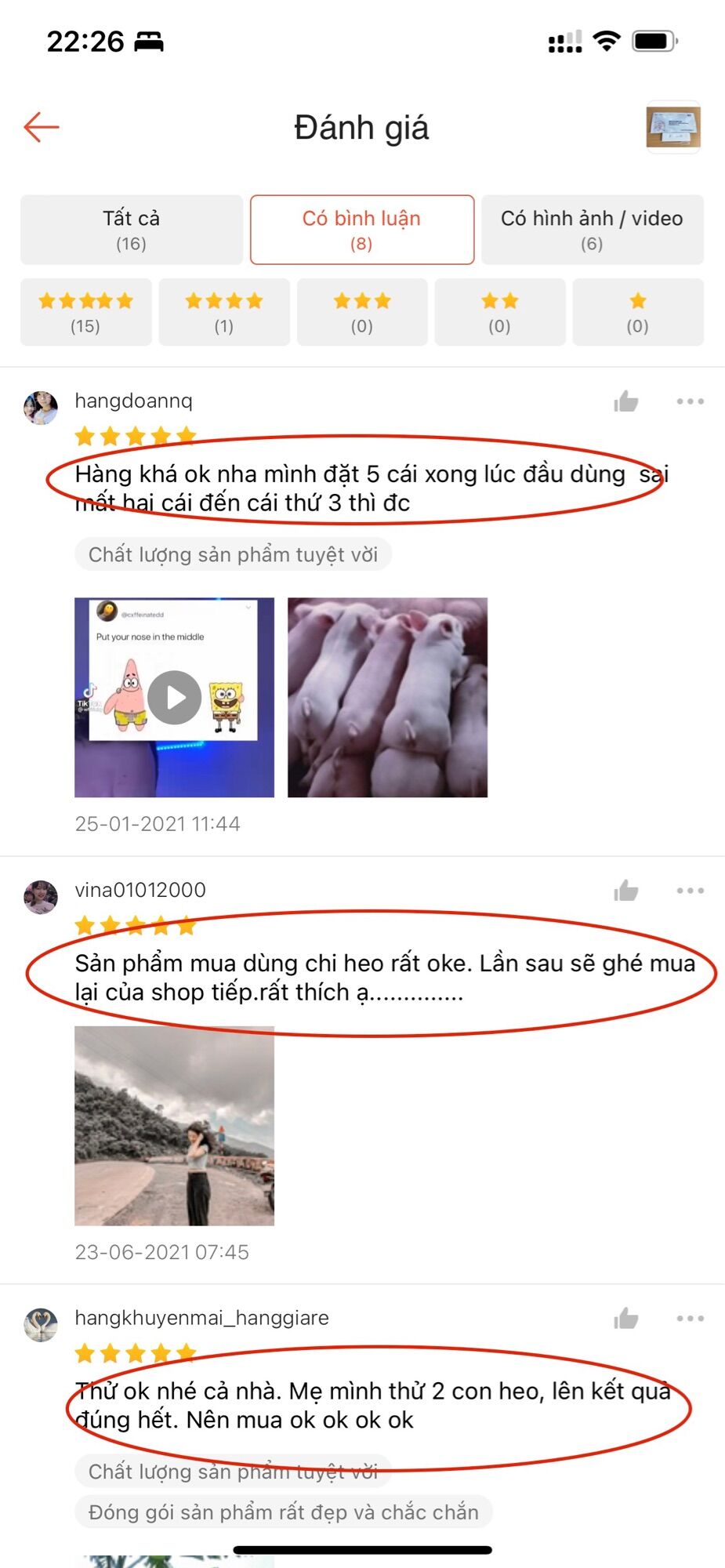 Que thử thai trâu, bò chính hãng Wh