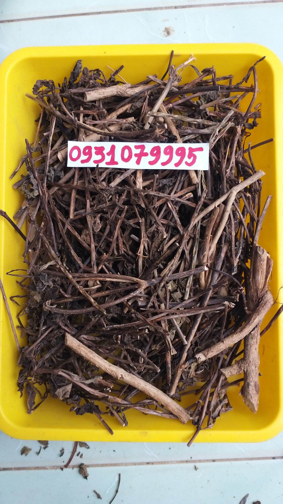 cây đuôi chuột phơi khô 1kg